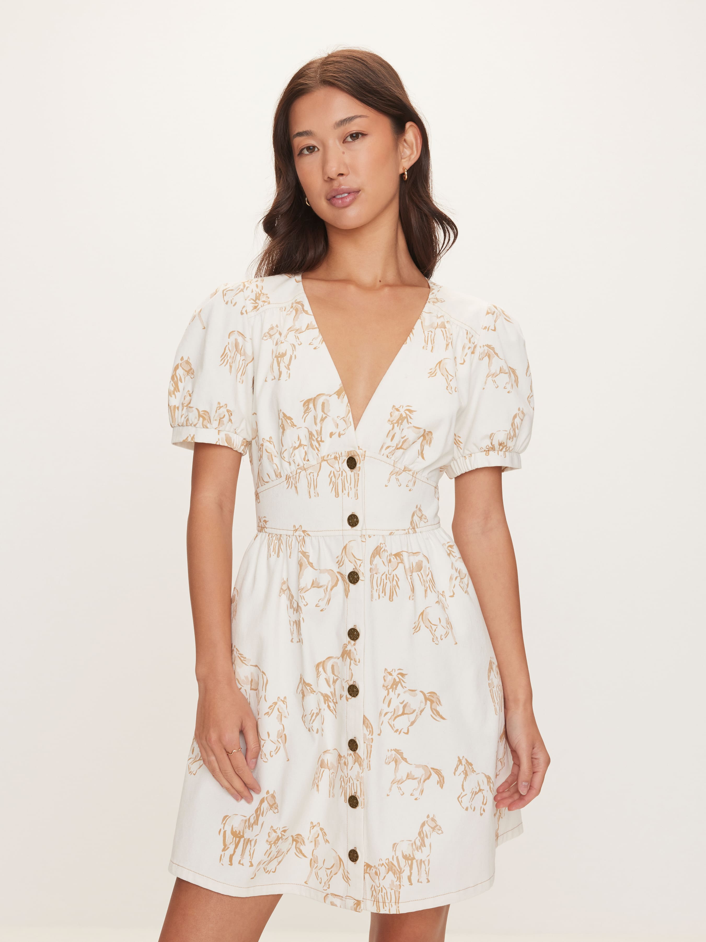 Marin Denim Mini Dress