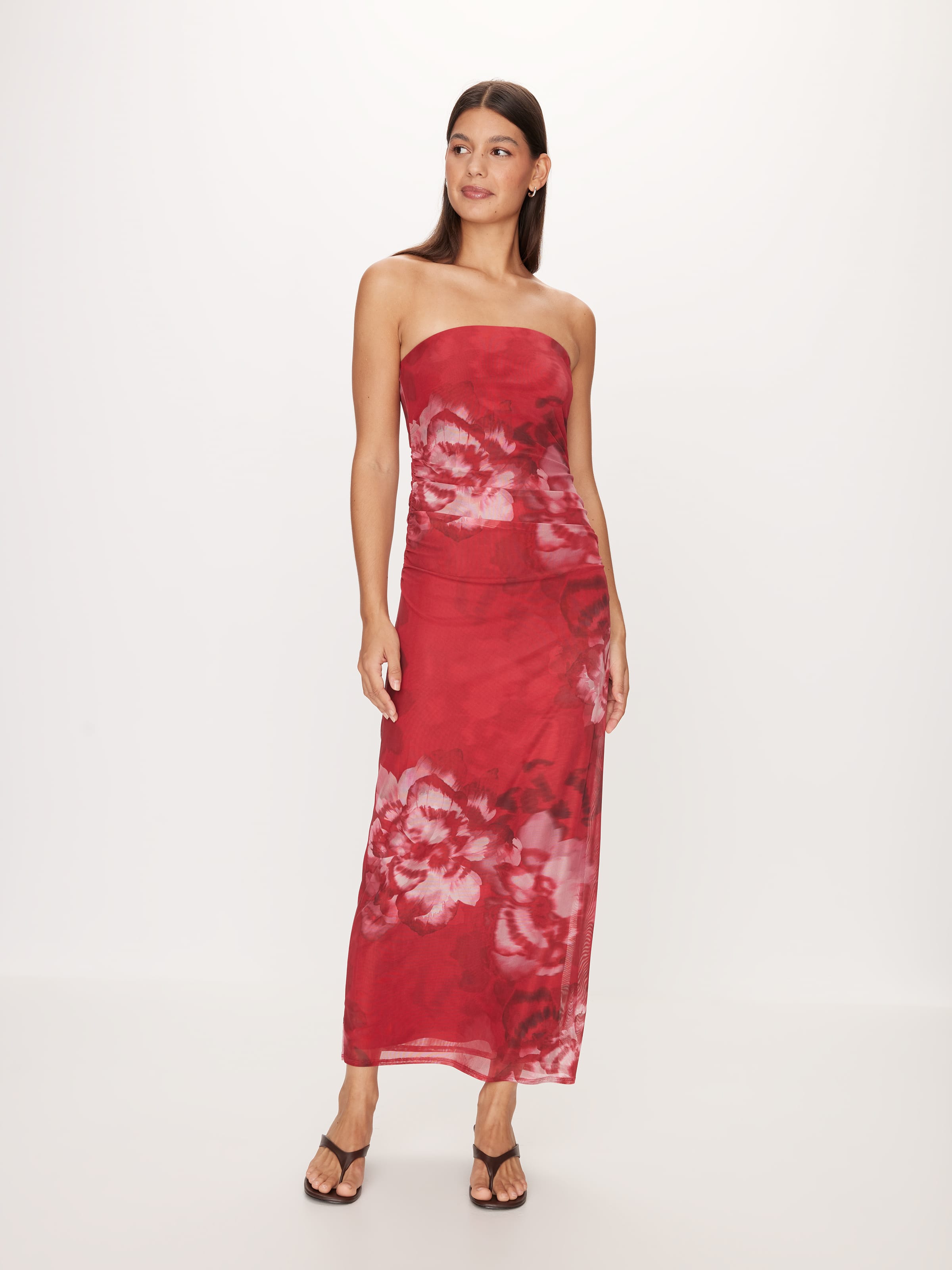 Daphne Mesh Midi Dress