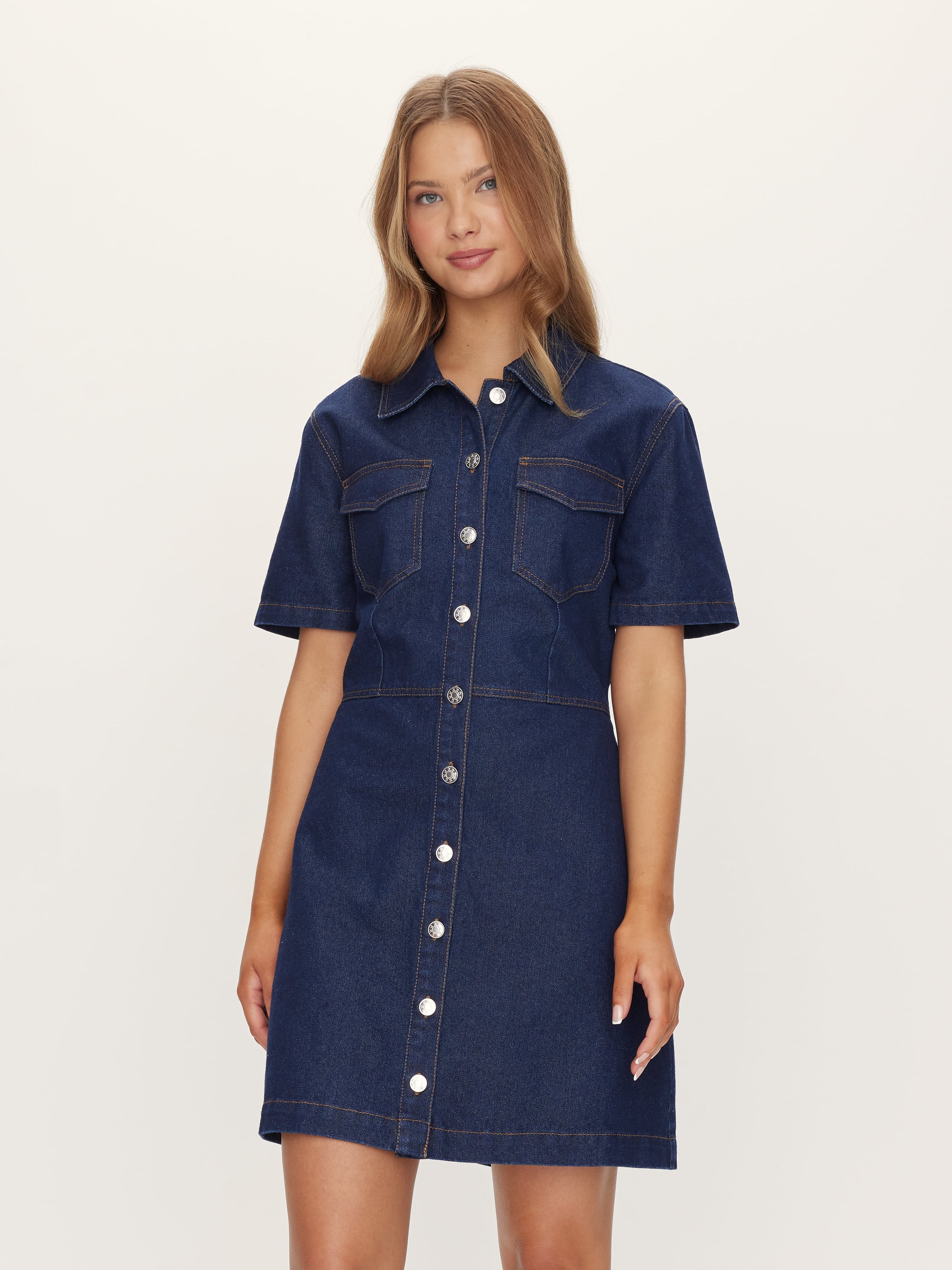 Simmie Denim Mini Dress