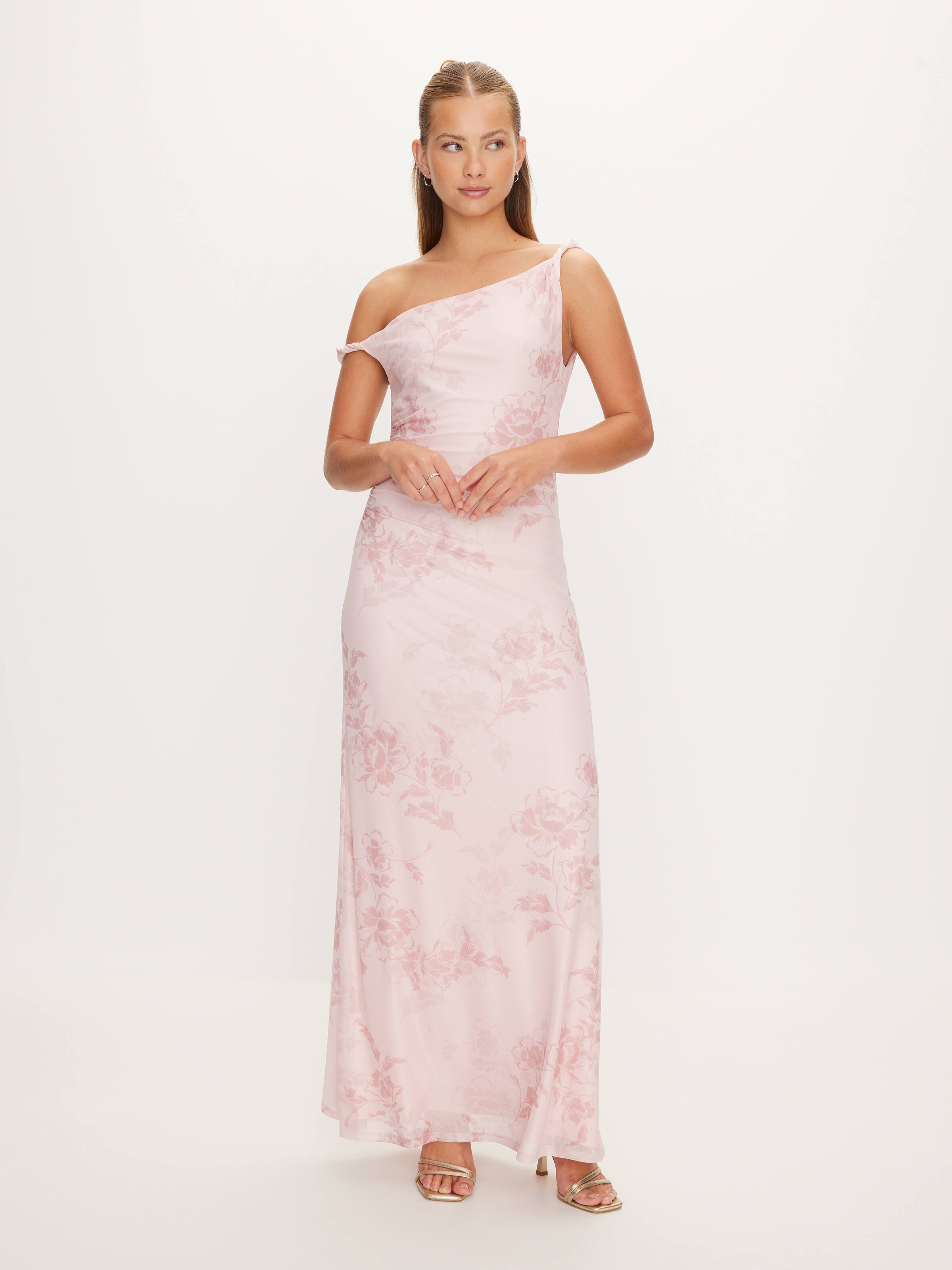 Aylani Mesh Maxi Dress
