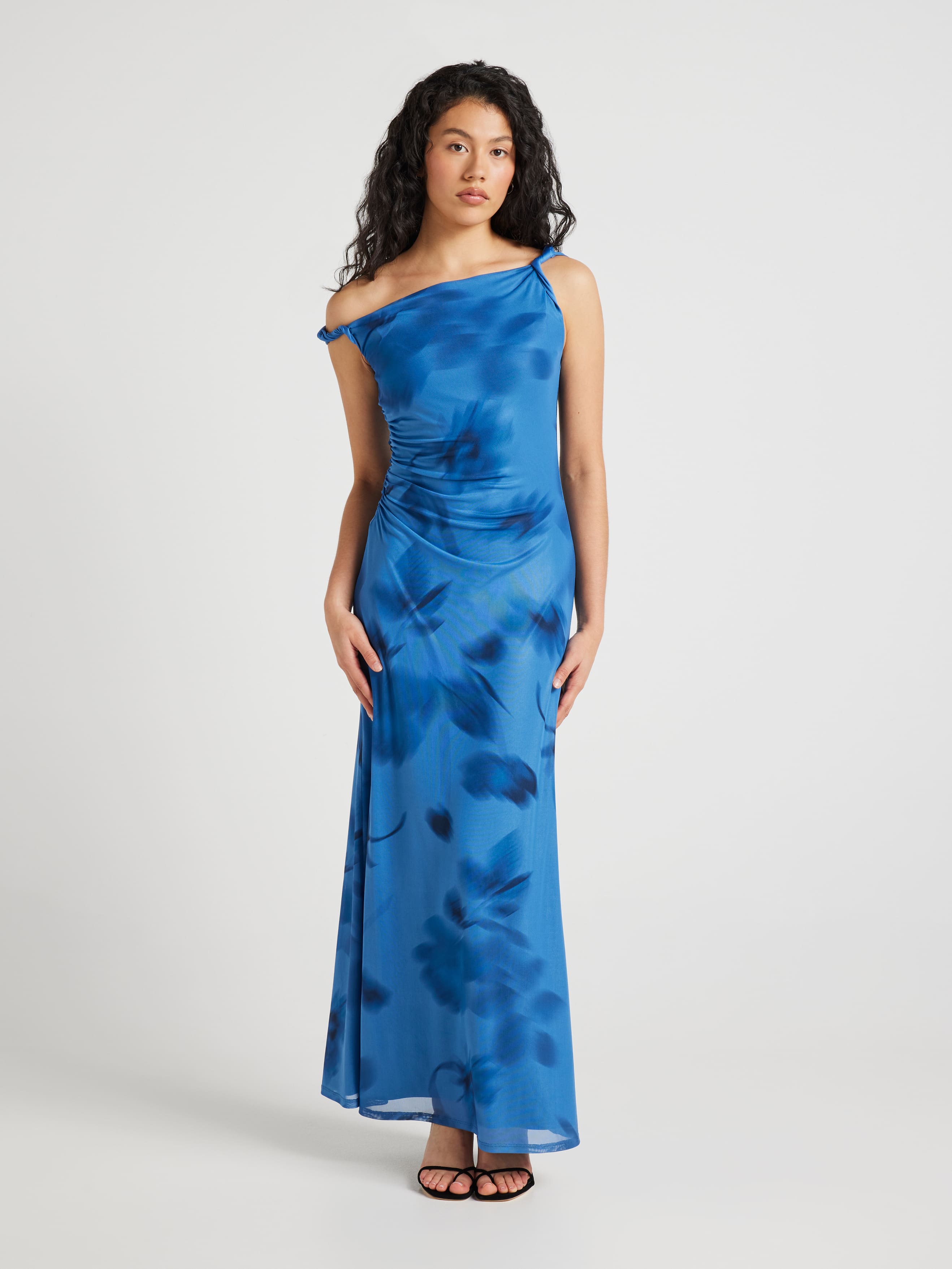 Aylani Mesh Maxi Dress