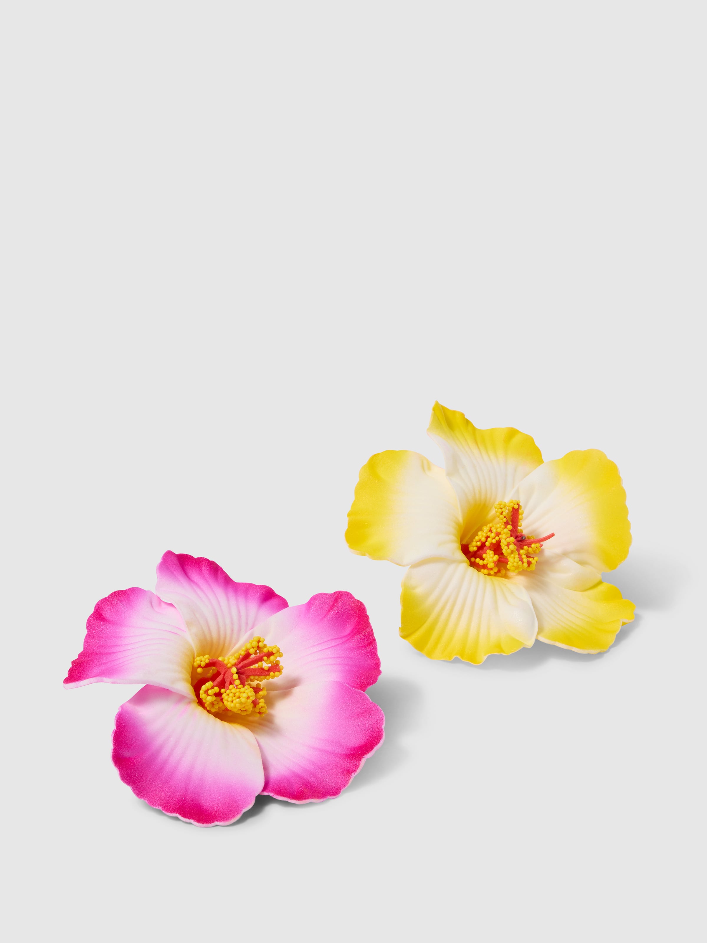 Zara Hibiscus 2Pk Hair Clip