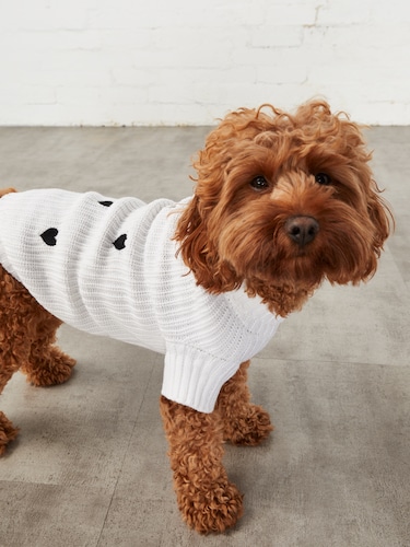 Juliette Dog Knit                                                                                                               