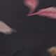 Blurred Blush Leave