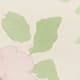 Watercolour Gardenia