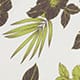 Tropical Palms