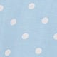 Blue White Polka Dot