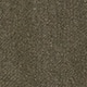 Kombu Green
