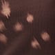 Deer Print