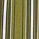 Khaki Stripe