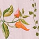 Pink Fruit Print