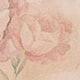 Blurred Rose