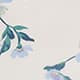 White Poppy Print