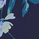 Navy Poppy Print