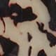 Cream Tort