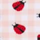 Gingham Ladybug