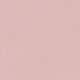 Pink Daisy